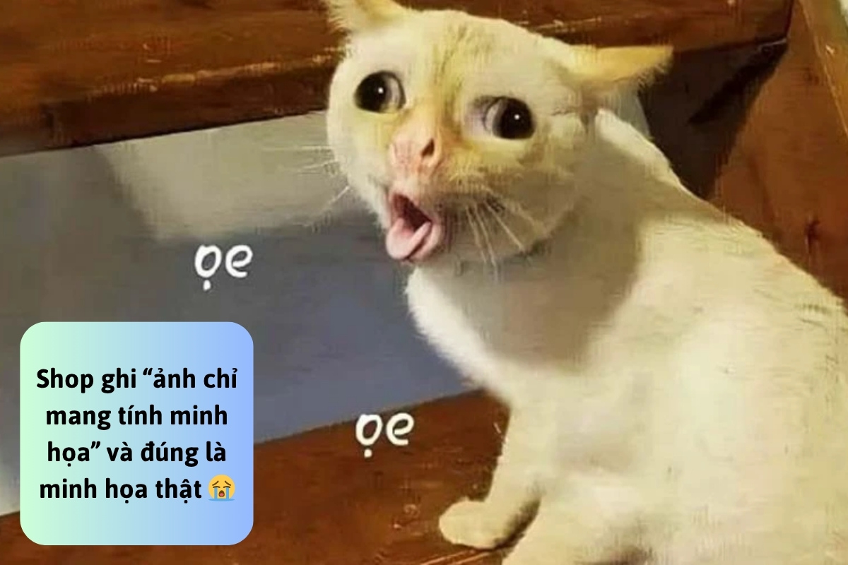 Tổng hợp ảnh Black Friday meme hài hước nhất cho ngày siêu khuyến mãi-29