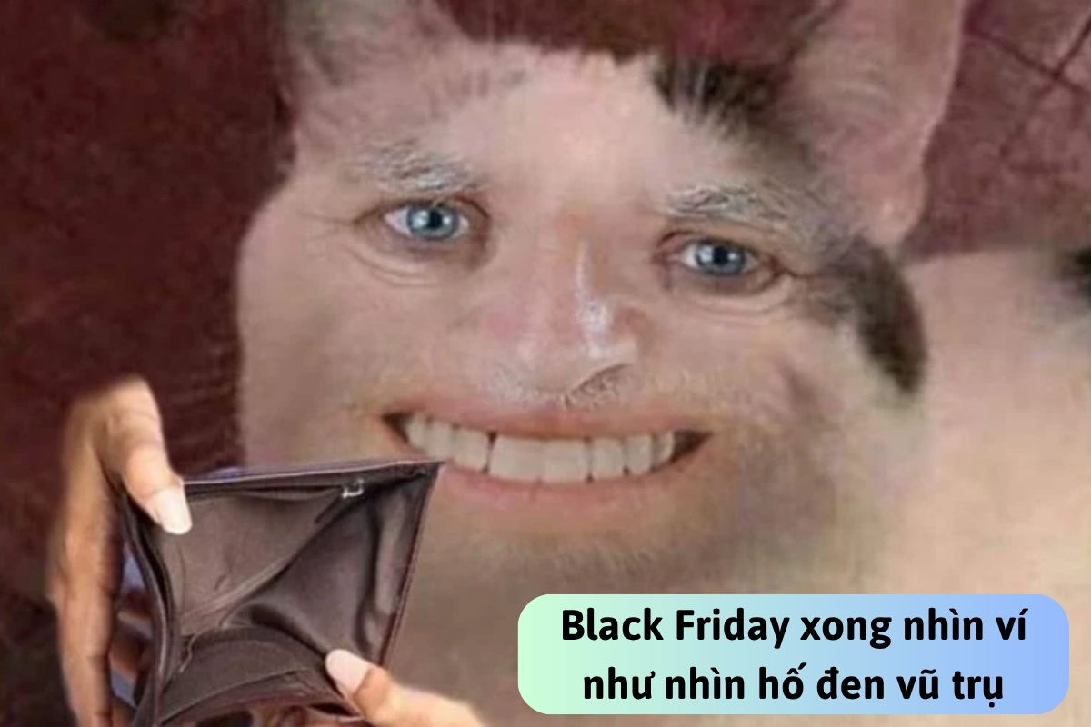 Tổng hợp ảnh Black Friday meme hài hước nhất cho ngày siêu khuyến mãi-30