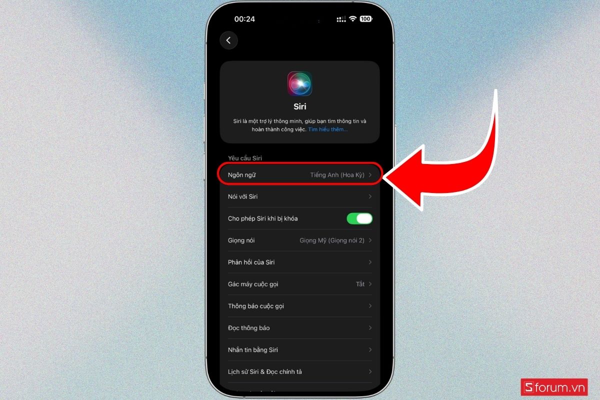 Cách cài Siri bằng tiếng Việt trên iPhone 18 Pro Series bước 2