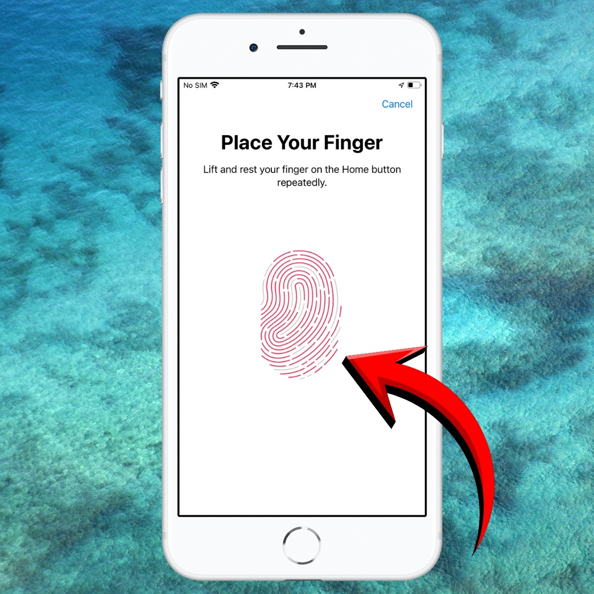Cách tải ứng dụng trên iPhone bằng Touch ID - bước 3