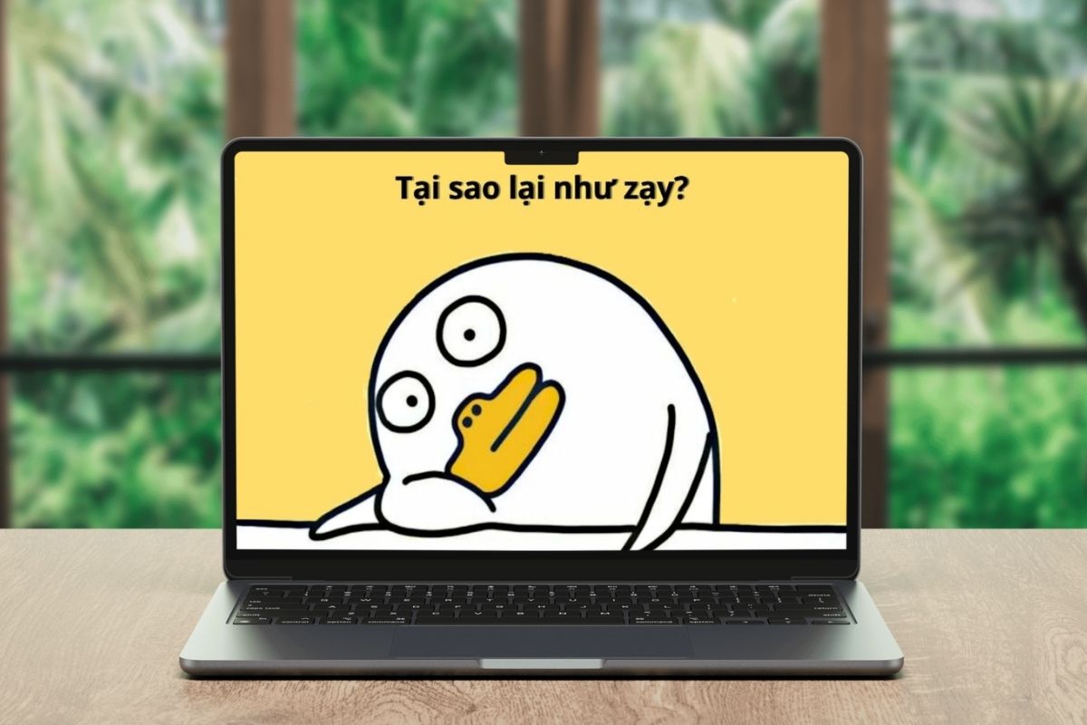 Hình nền laptop meme siêu hài giúp xả stress sau mùa thi