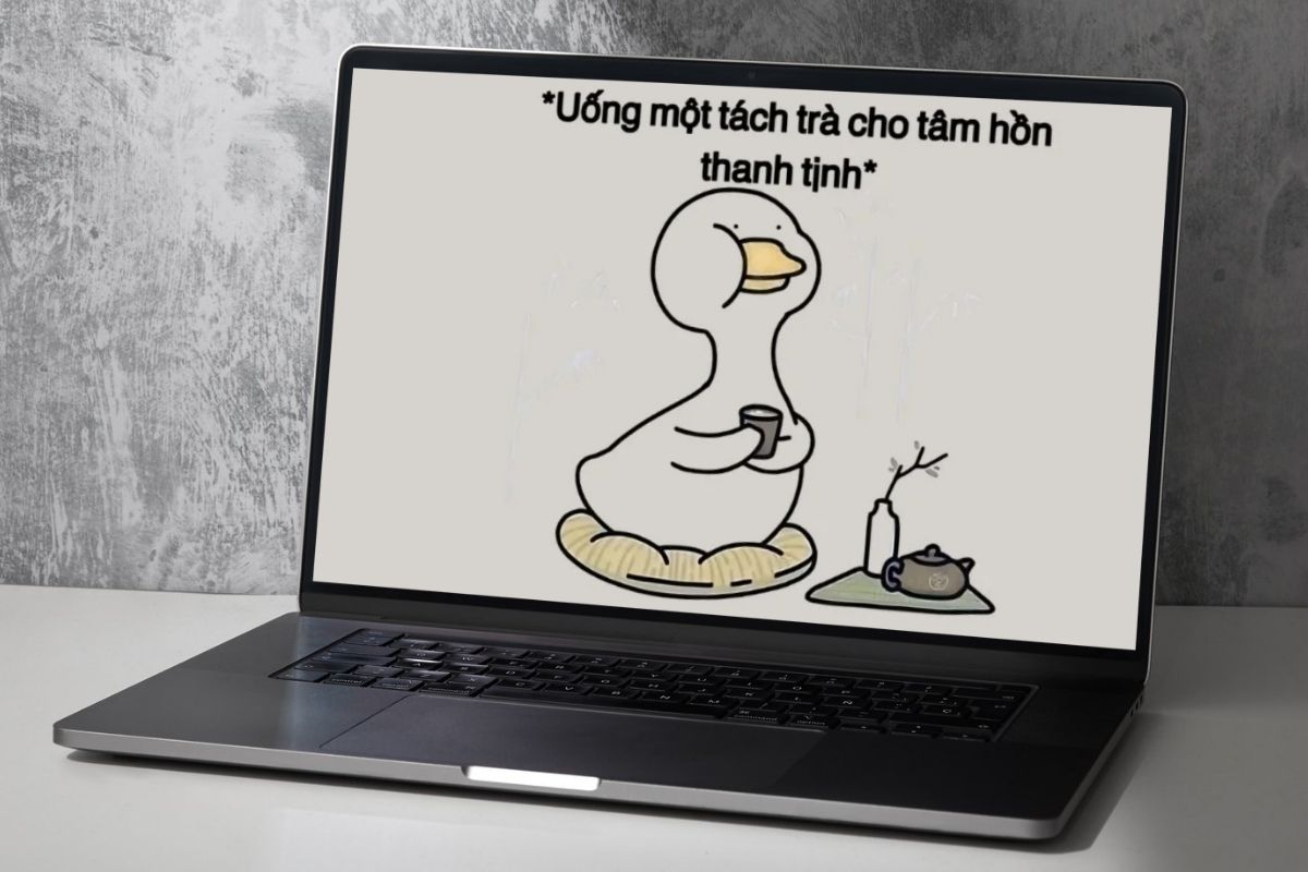 Điều gì khiến hình nền laptop meme được yêu thích?