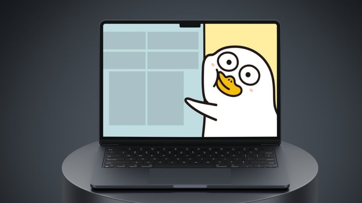 Hình nền laptop meme siêu hài giúp xả stress sau mùa thi