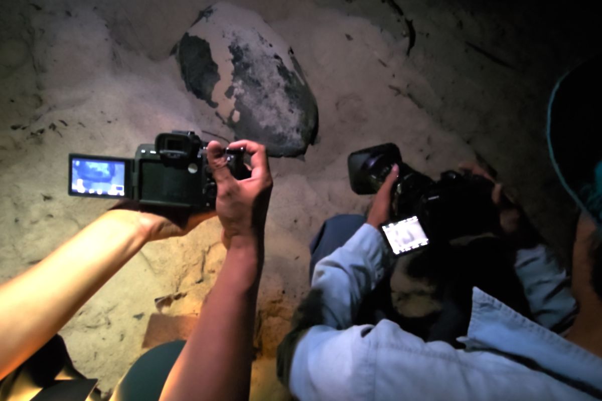 Giá trị mà chương trình Vietnam Wild Live mang lại