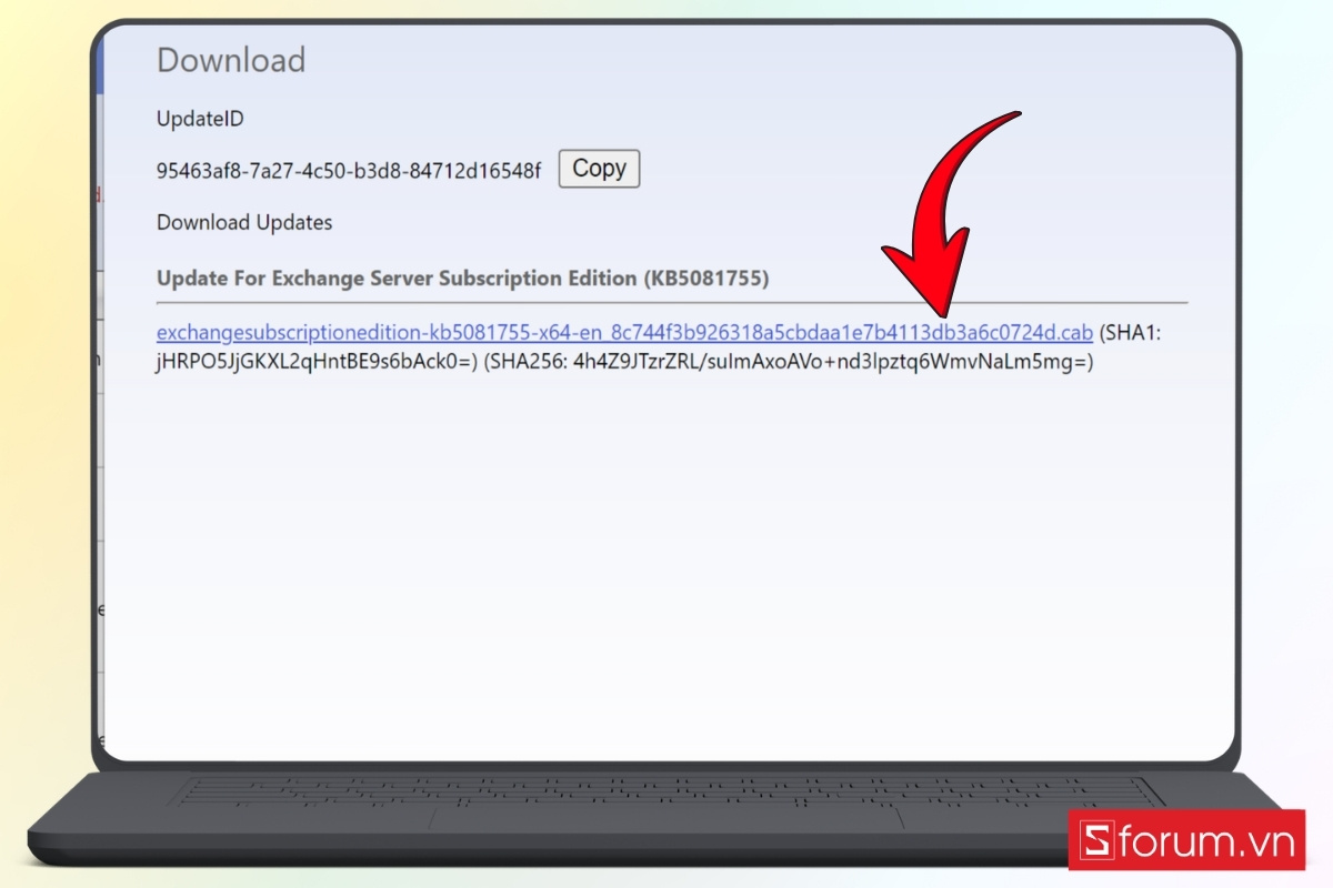Cài đặt bản cập nhật thủ công từ Microsoft Update Catalog bước 4