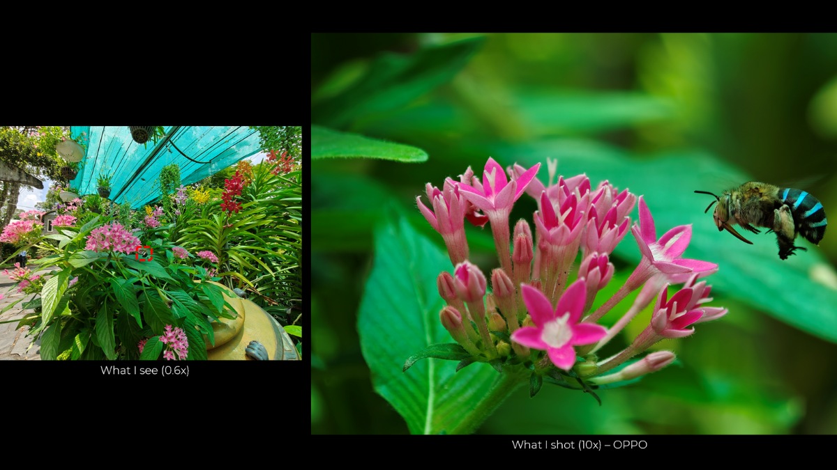 Camera OPPO Find X9 : Đỉnh cao nhiếp ảnh di động cho tín đồ yêu chụp ảnh Camera OPPO Find X9 : Đỉnh cao nhiếp ảnh di động cho tín đồ yêu chụp ảnh