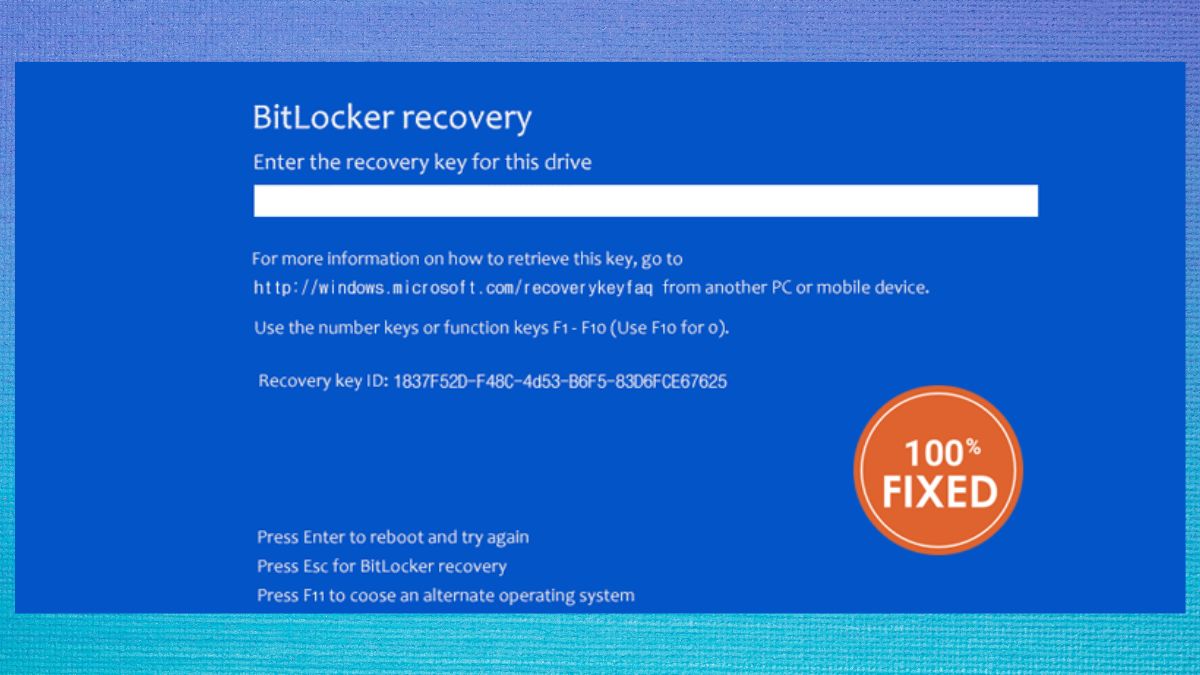 Các vấn đề thường gặp khi mở khóa BitLocker Win 11 - quên mã khôi phục