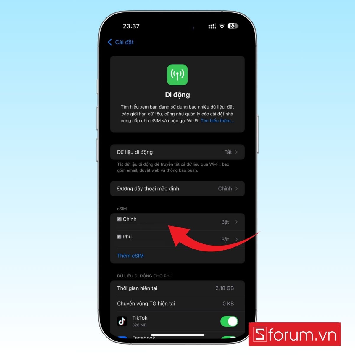 Cách sử dụng 2 sim trên iPhone đơn giản trong 5 bước hình 15