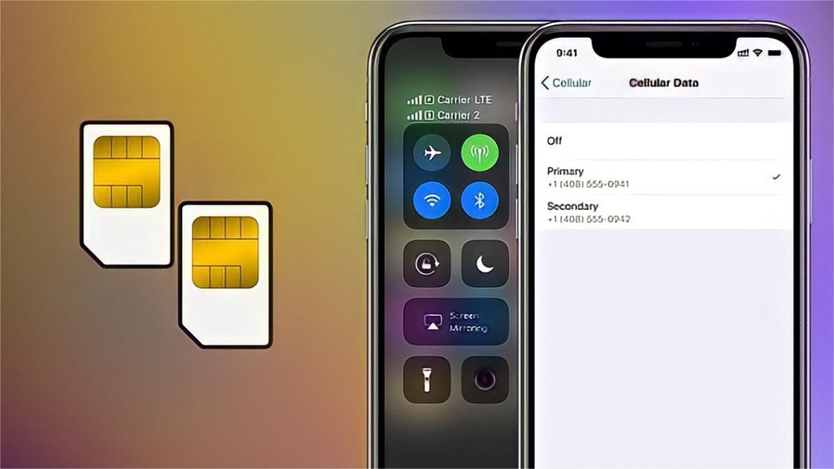 iPhone có mấy loại SIM?