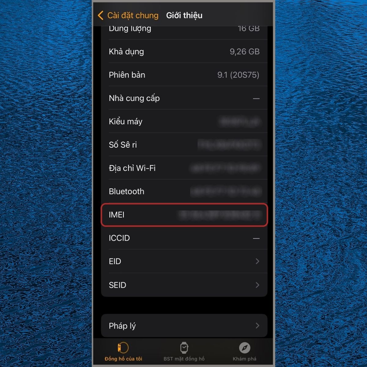 Check IMEI Apple Watch bằng cách xem IMEI và Serial Number ở phần Giới thiệu trên iPhone