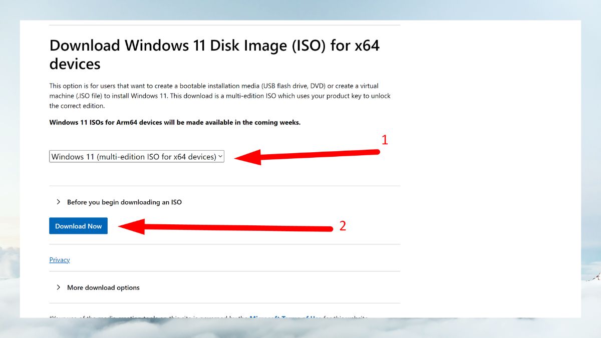 Chọn phiên bản Windows 11 ISO