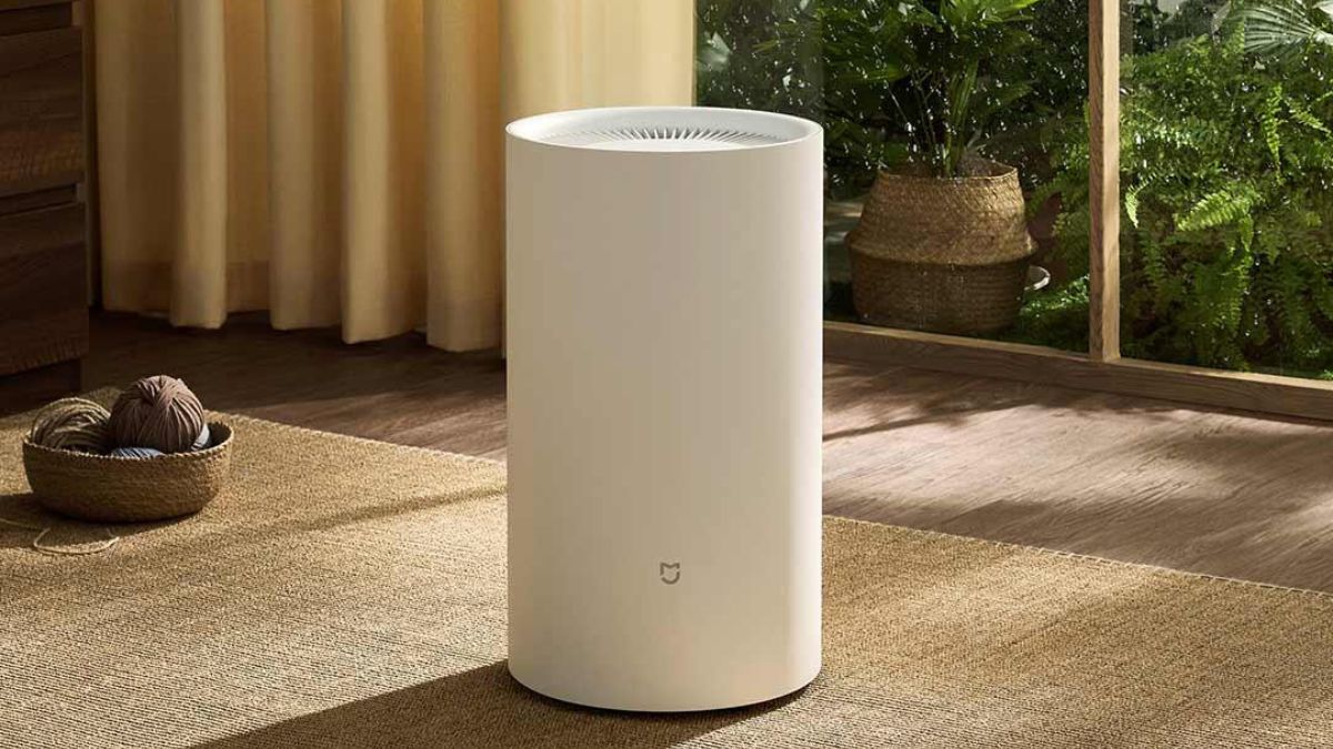 Cân bằng độ ẩm và tạo môi trường sống lành mạnh