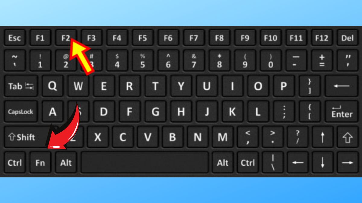 Cách khắc phục tình trạng lỗi laptop bị mất biểu tượng WIFI Win 11 - Kiểm tra dòng laptop của bạn có công tắc vật lý wifi