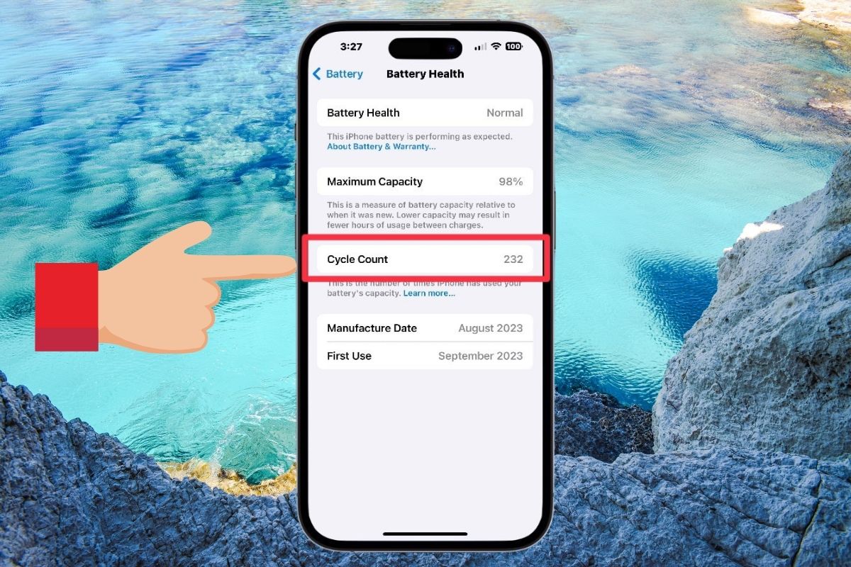 Mục Cycle Count bạn sẽ thấy số lần sạc