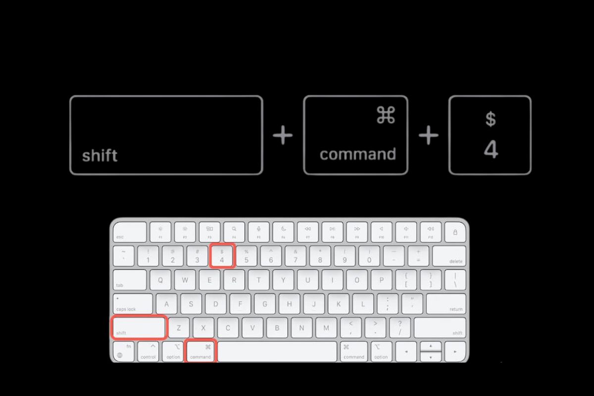 Tăng tốc học tập với macOS với các bước đơn giản mà hiệu quả bất ngờ hình 7