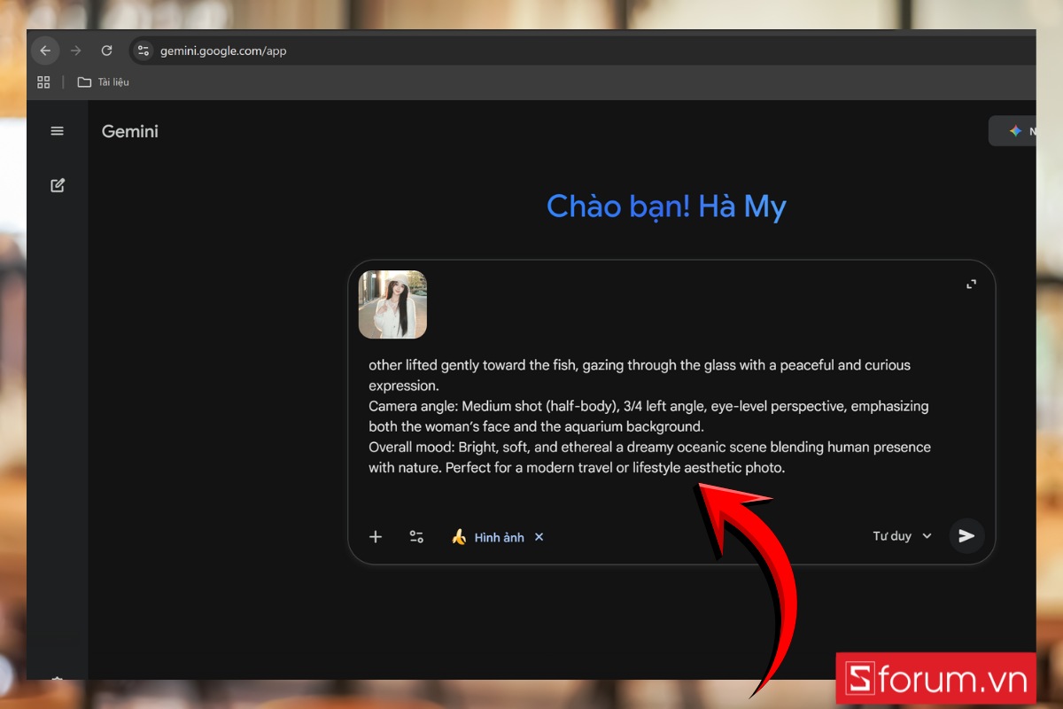Cách tạo ảnh tham quan thủy cung bằng Gemini bước 2