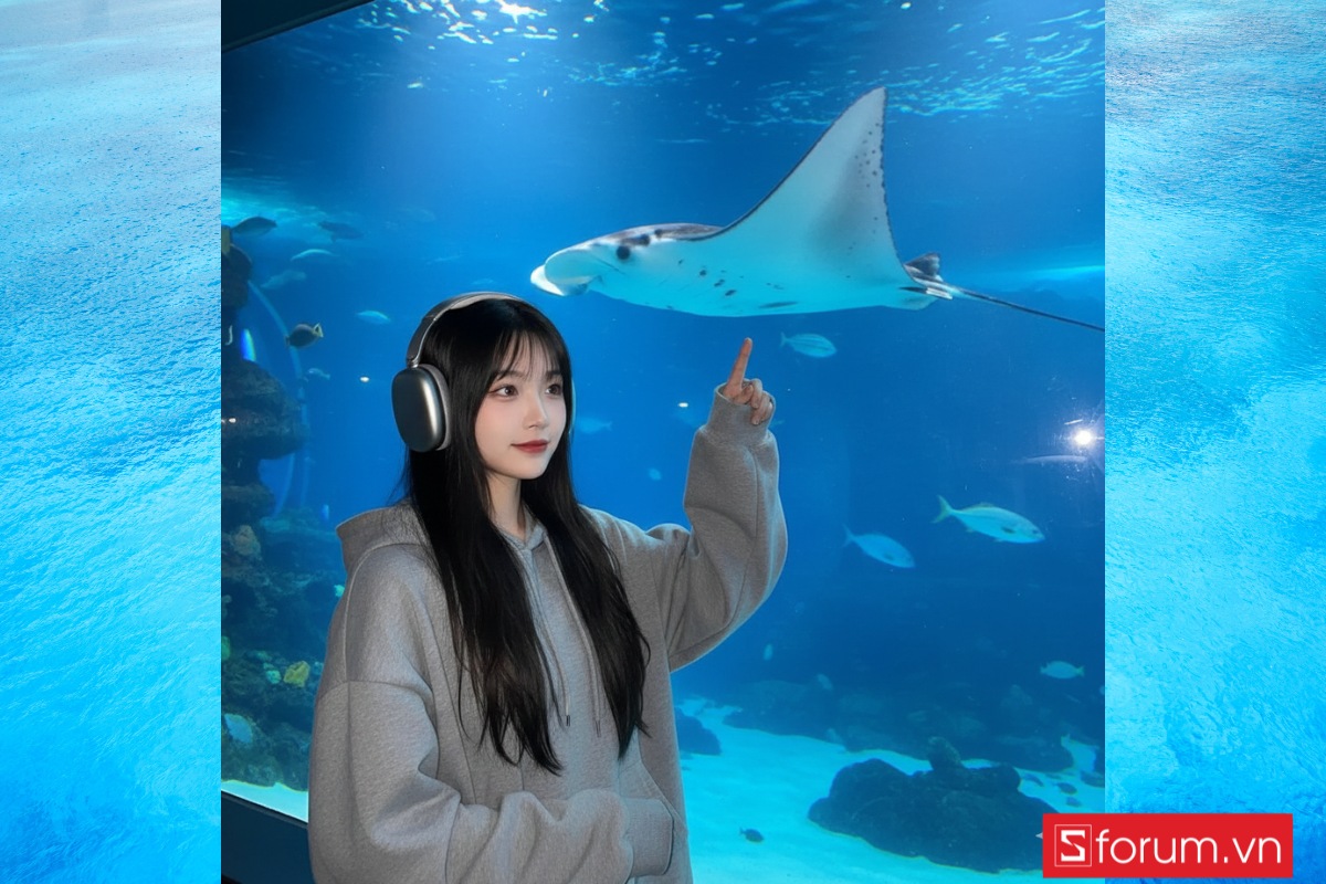 Những câu lệnh giúp tạo ảnh tham quan thủy cung bằng Gemini AI 2