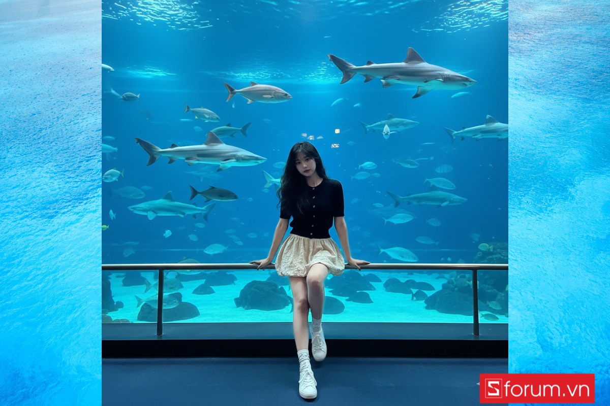 Những câu lệnh giúp tạo ảnh tham quan thủy cung bằng Gemini AI 3