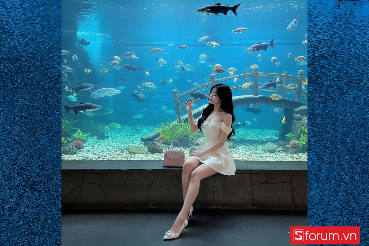 Những câu lệnh giúp tạo ảnh tham quan thủy cung bằng Gemini AI 6