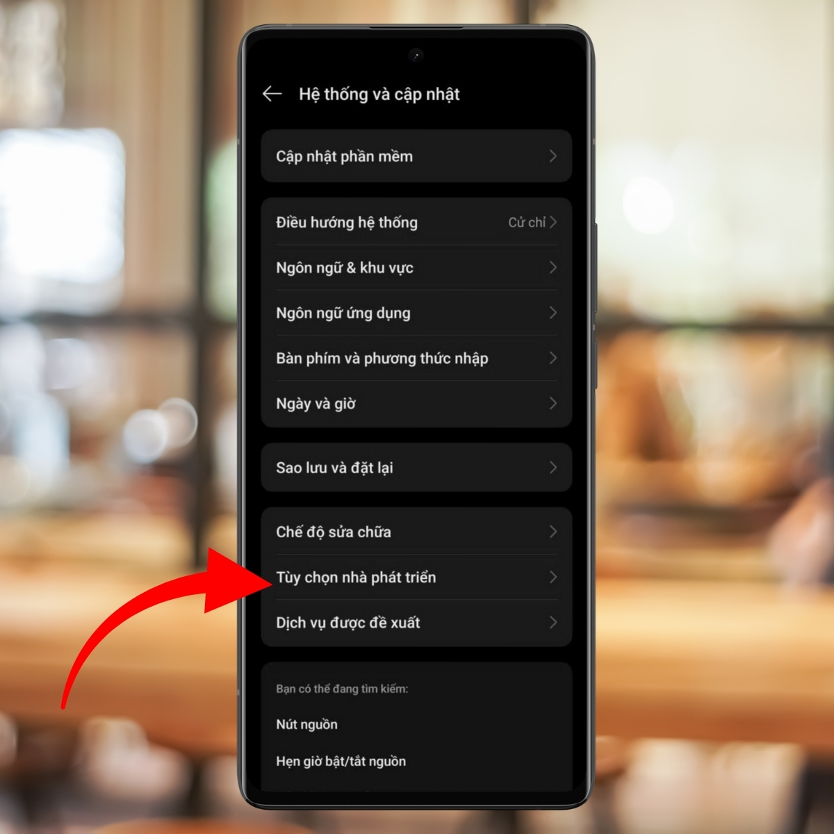 Cách tắt chế độ nhà phát triển OPPO - bước 3