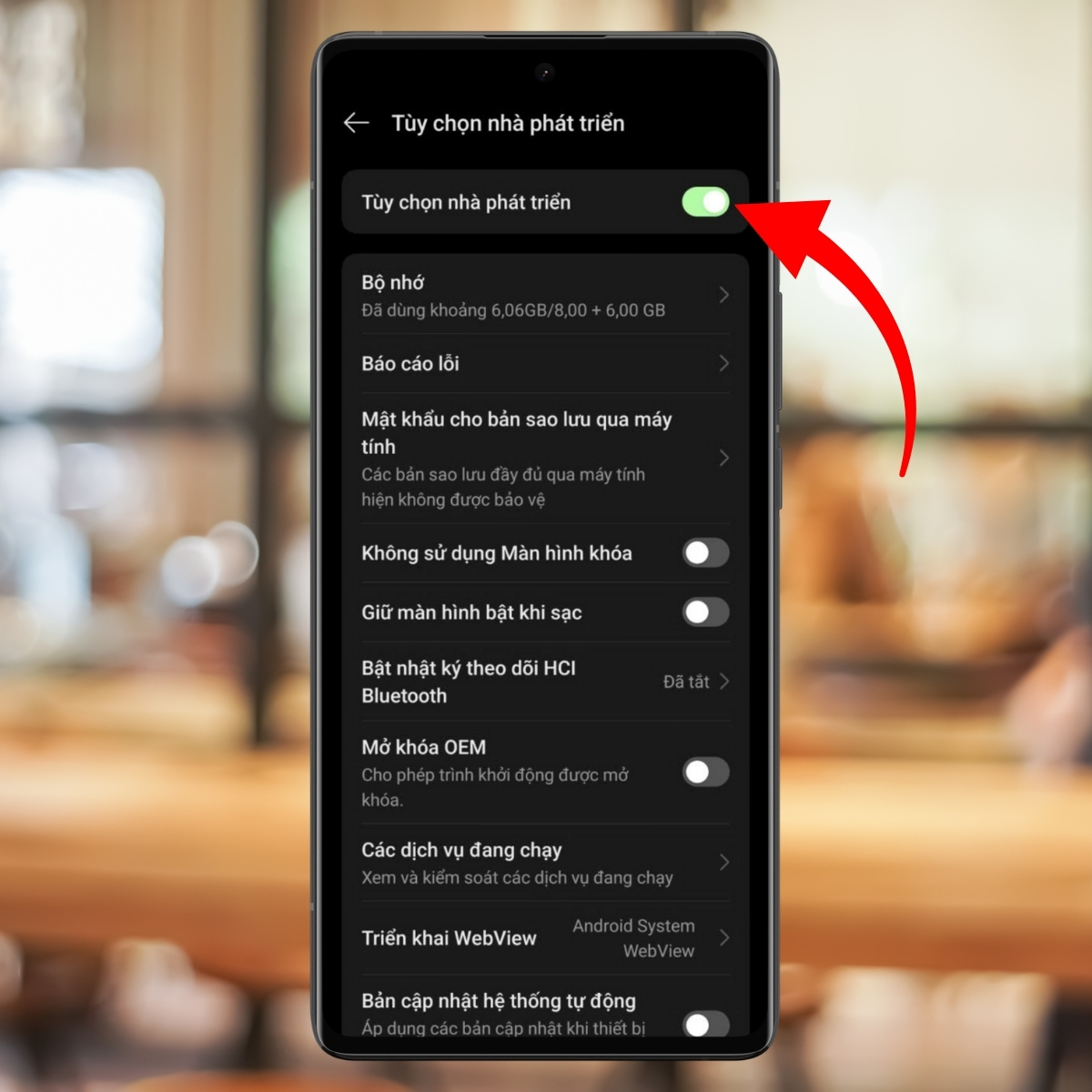 Cách tắt chế độ nhà phát triển OPPO - bước 4