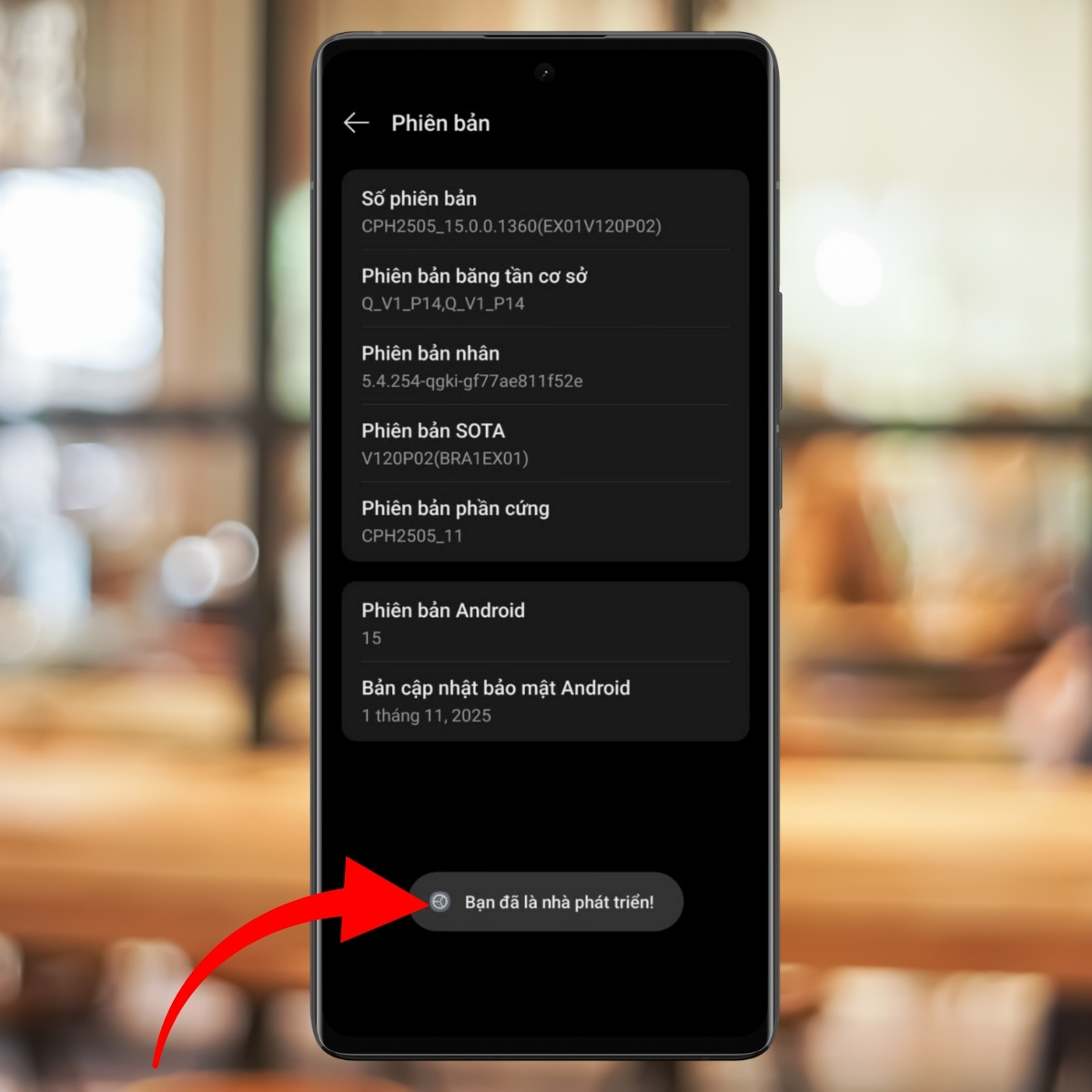 Cách bật chế độ nhà phát triển OPPO - bước 5