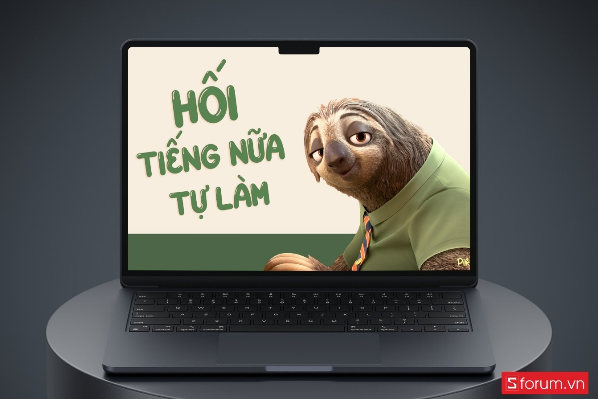 Vì sao hình nền con lười Flash lại gây sốt trong năm 2026