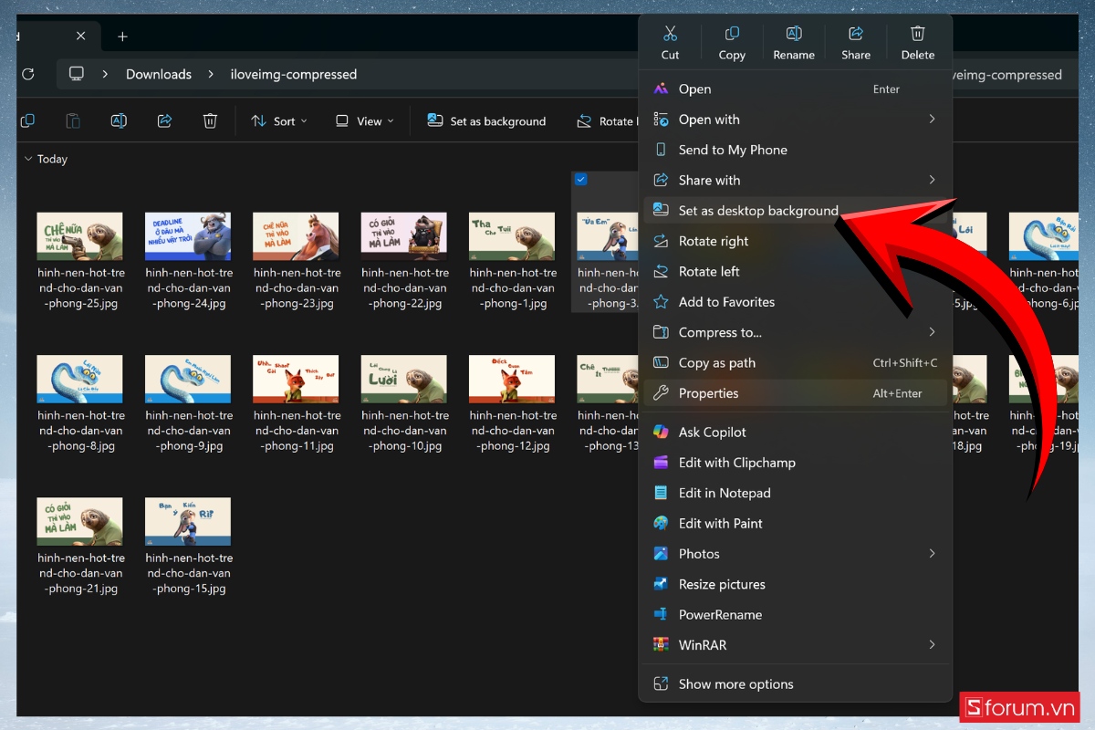 Cách tải hình nền Flash Zootopia chất lượng cao 5