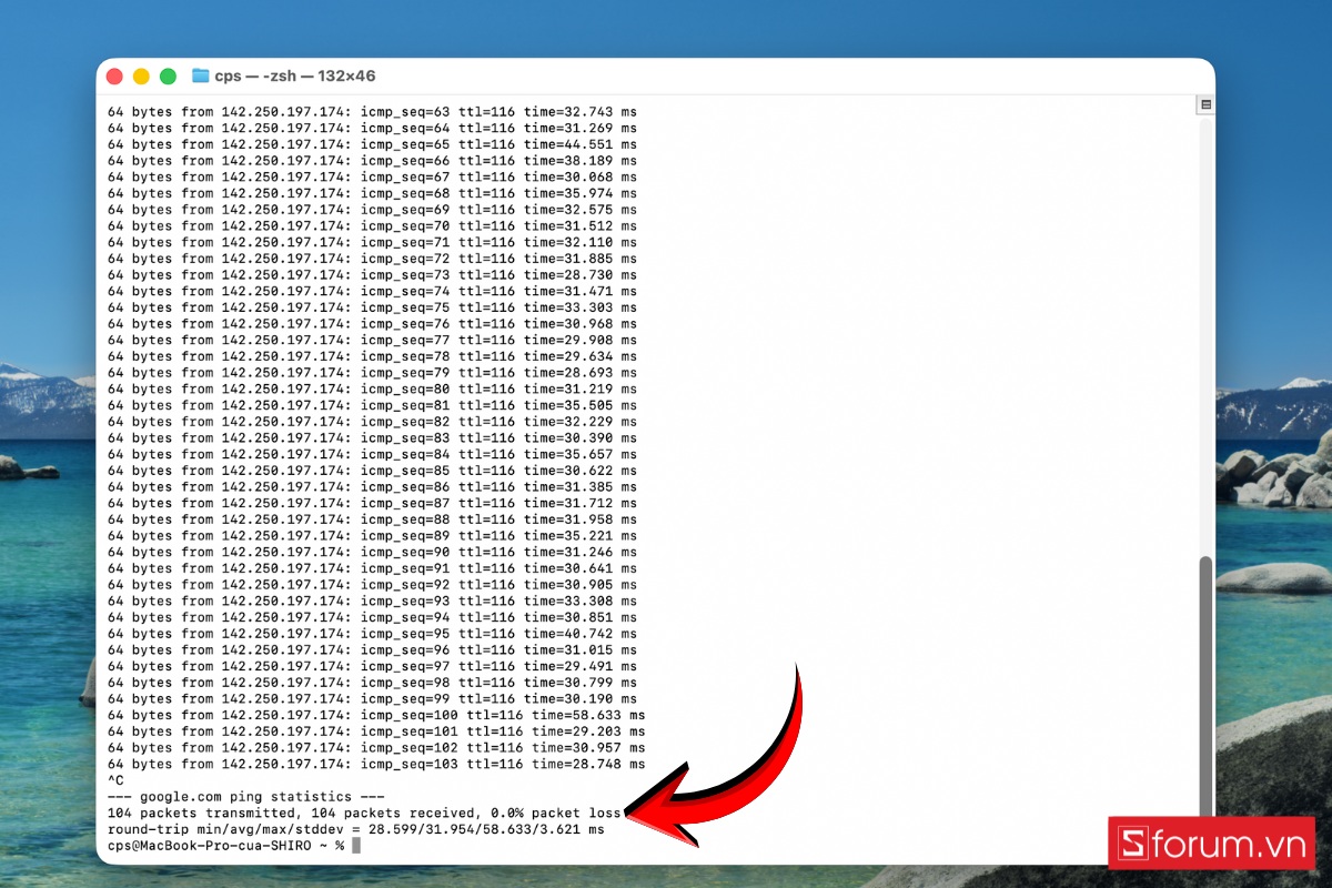 Kiểm tra Ping trên hệ điều hành macOS bước 3