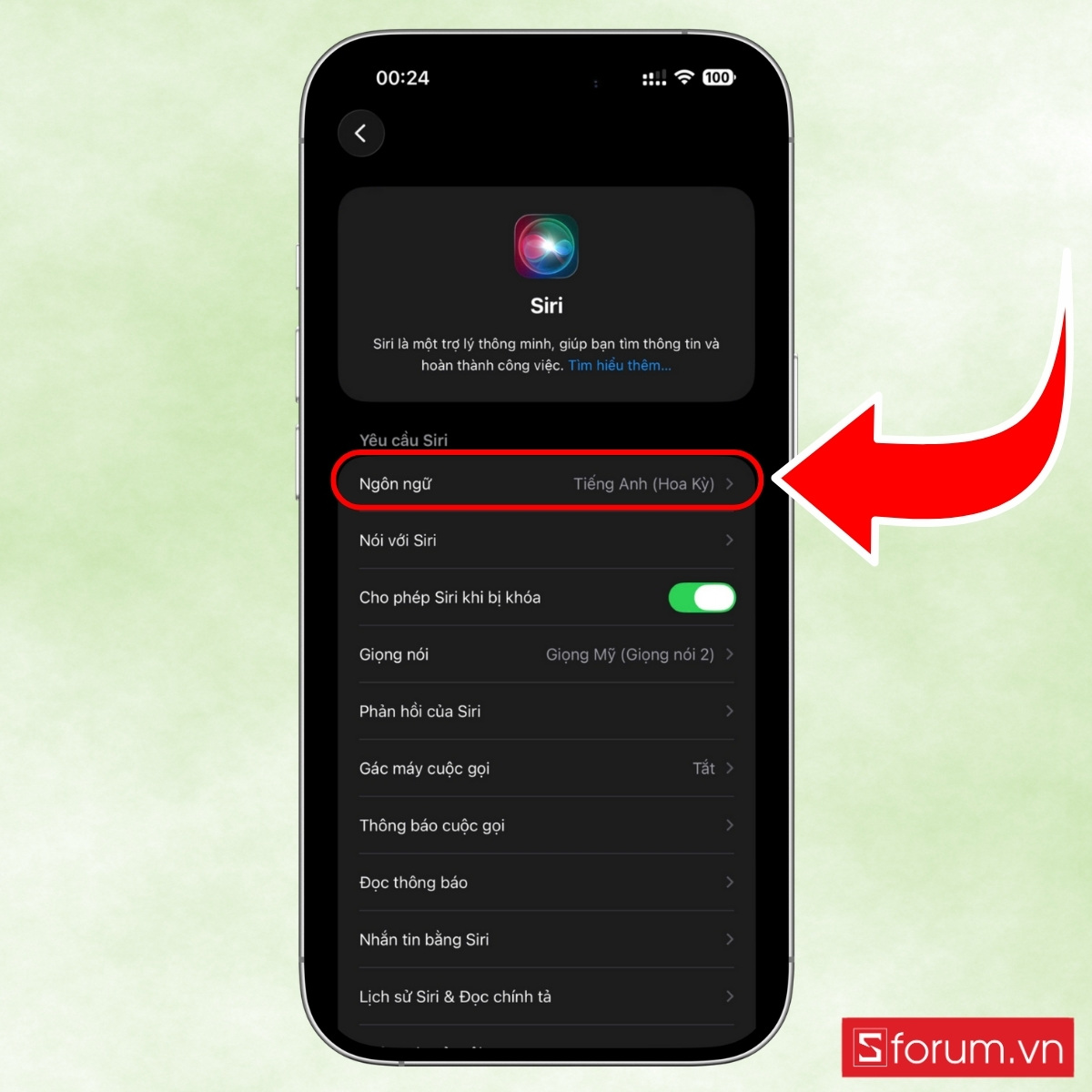 Cách bật siri trên iPhone 17 bằng giọng nói “Hey Siri” bước 2