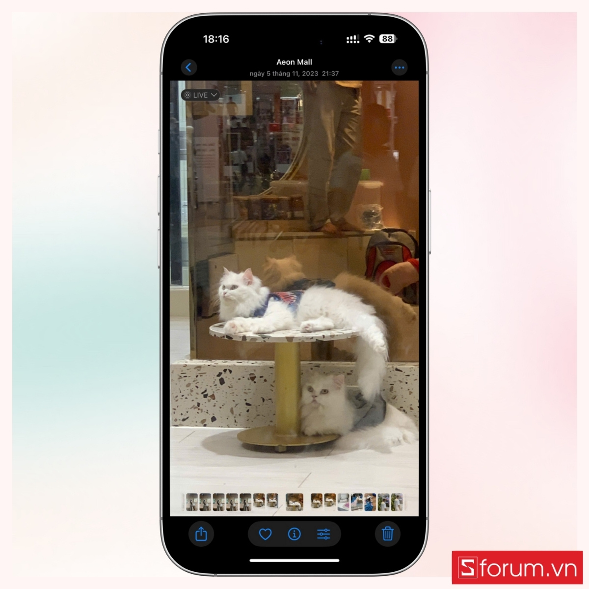 Tìm đến hình ảnh đang ở chế độ Live mà bạn muốn chỉnh sửa