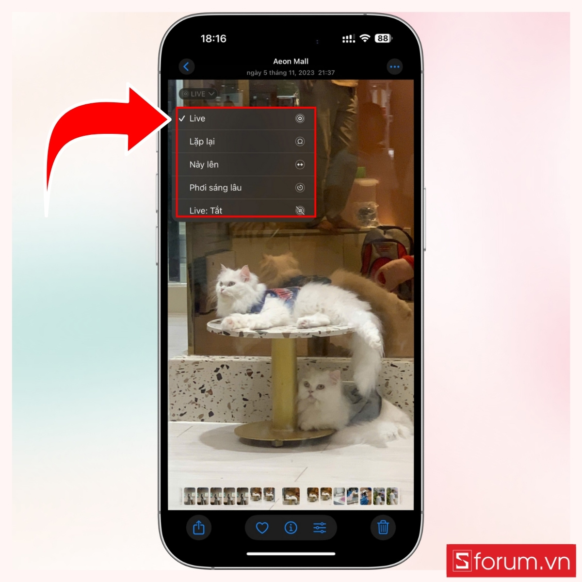 Chạm vào nút Live nằm ở góc trên bên trái giao diện ảnh