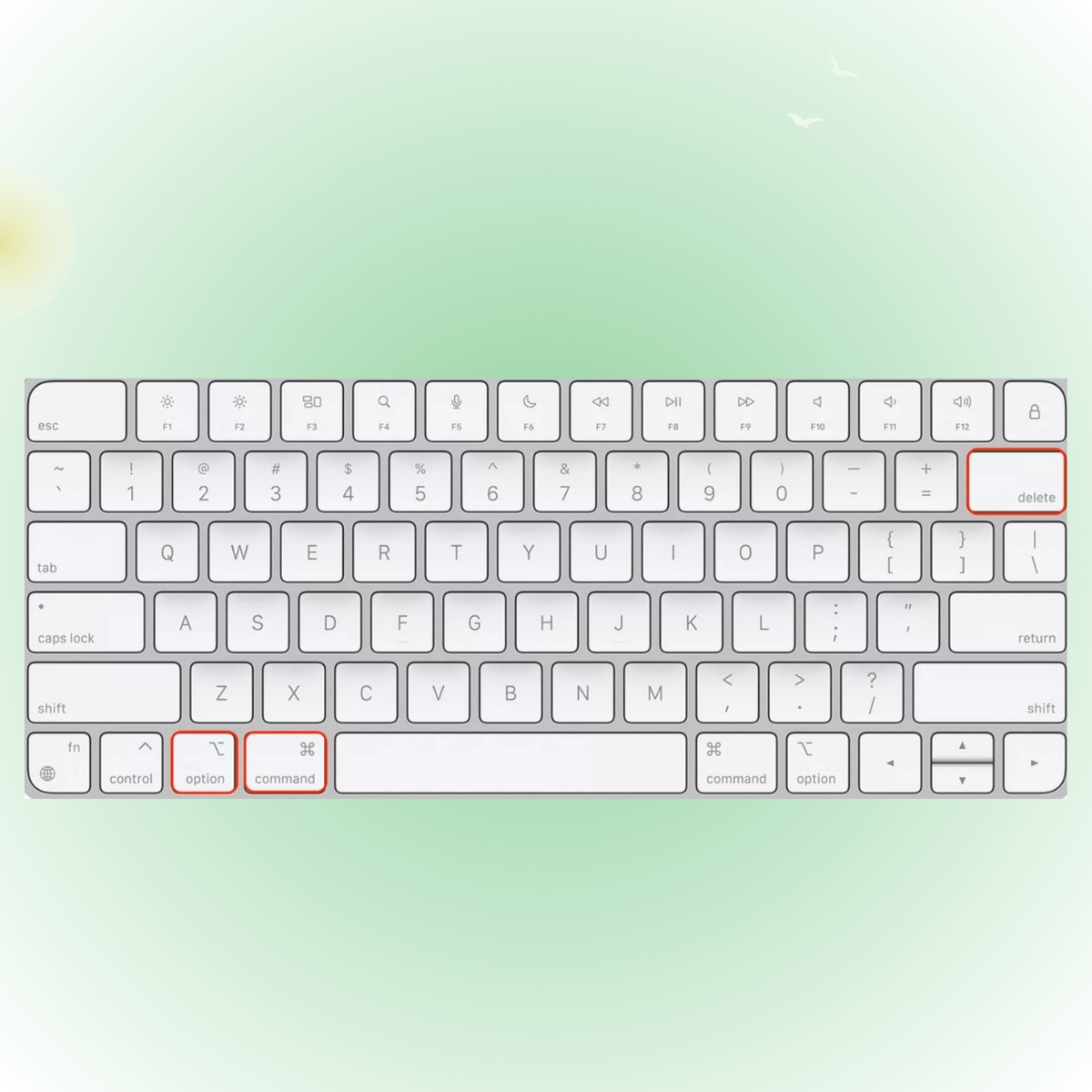 Cách xoá file trên MacBook bằng thao tác cơ bản bằng phím tắt bước 3