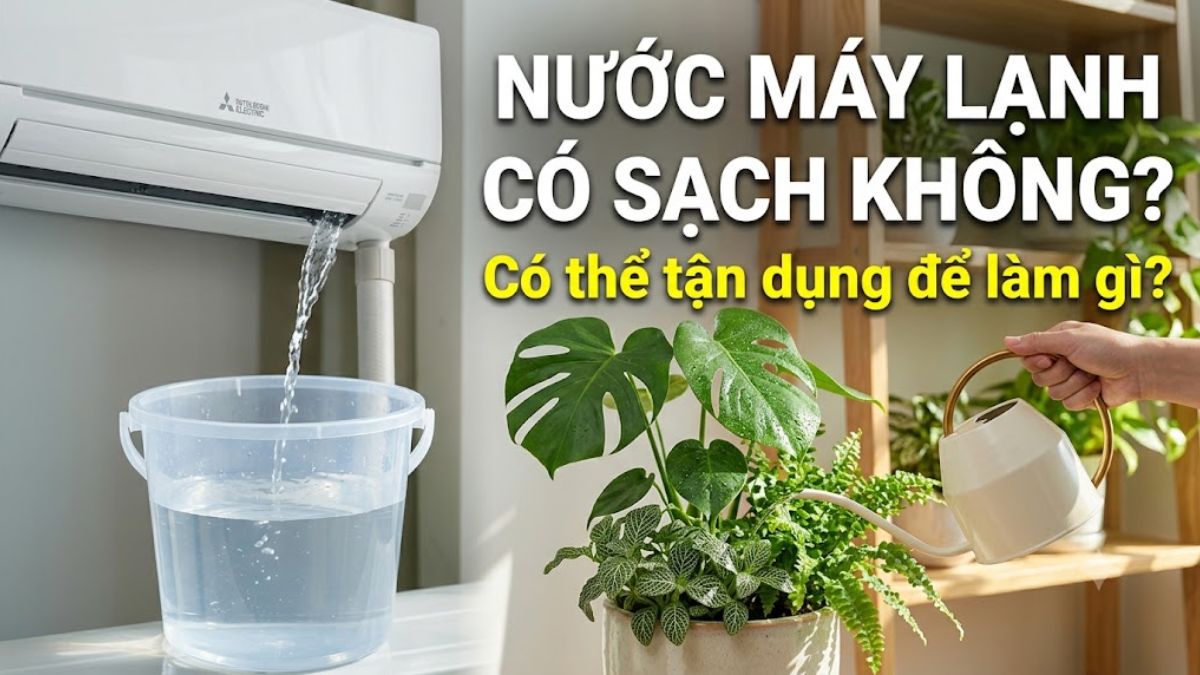 Nước máy lạnh có sạch không? Có thể tận dụng để làm gì?
