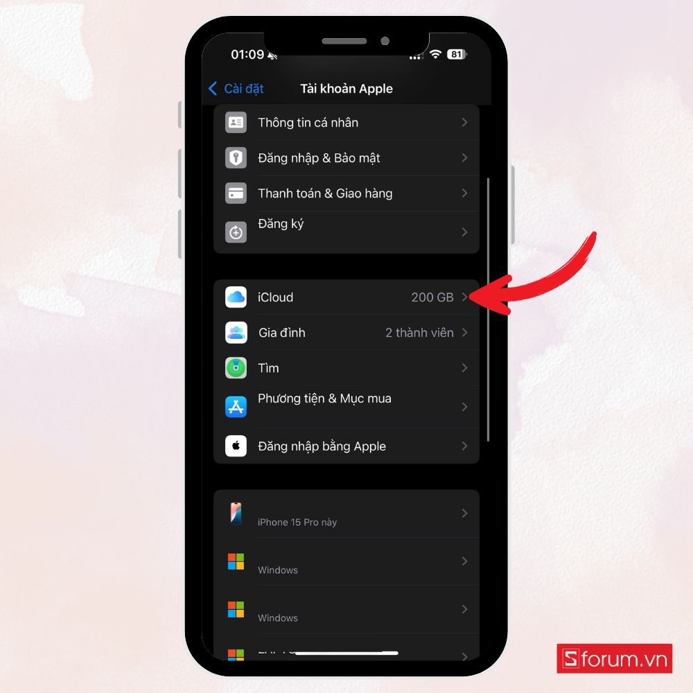 hạ cấp từ iOS 17 xuống iOS 16 2