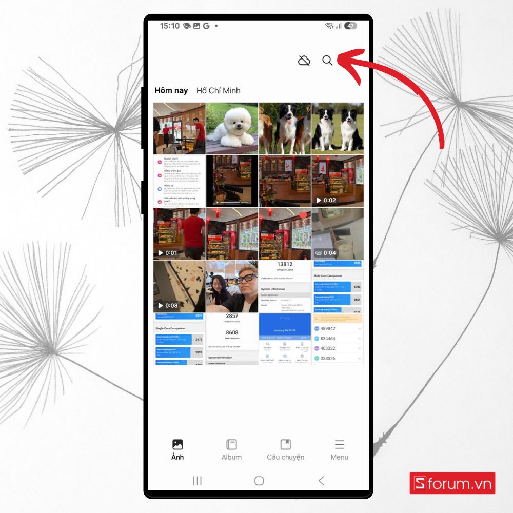 Bước 1: Vào mục Hình ảnh chọn Tìm kiếm