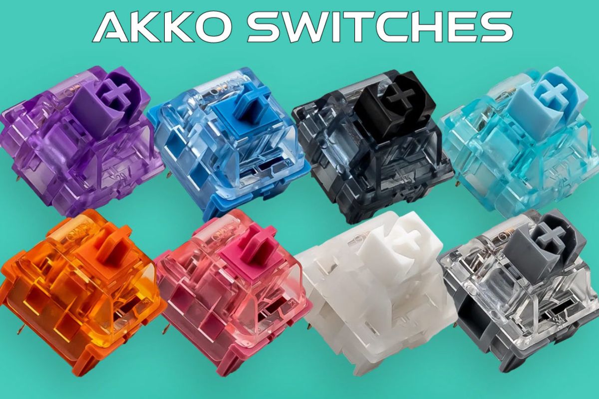 các loại switch akko là gì
