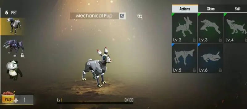 Vào mục thú cưng trong giao diện chính của acc game