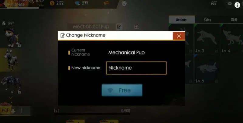 Nhập tên bạn muốn đổi cho thú cưng Free Fire