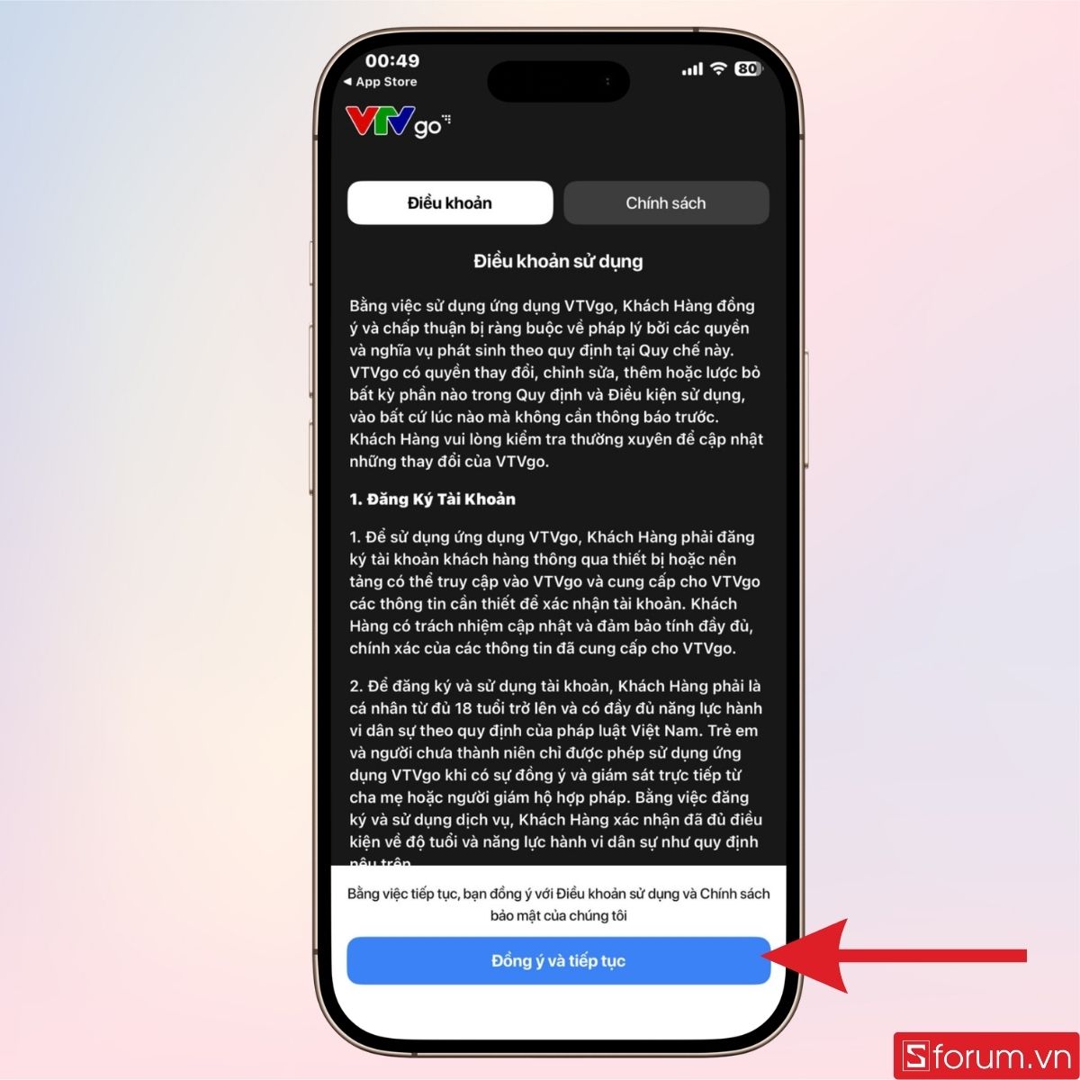 Đồng ý các điều khoản sử dụng