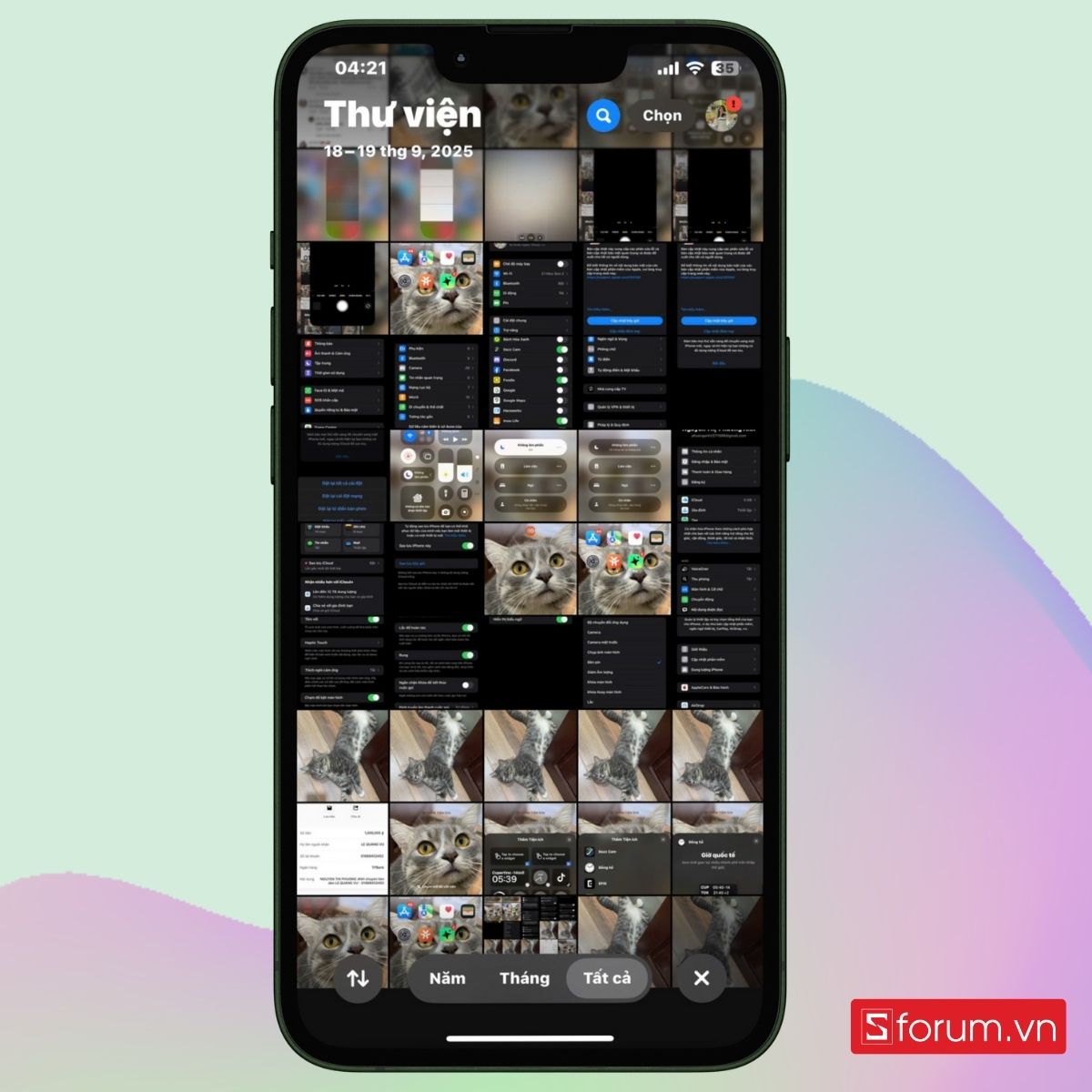 Thư viện ảnh trên iPhone của bạn sẽ hiện ra