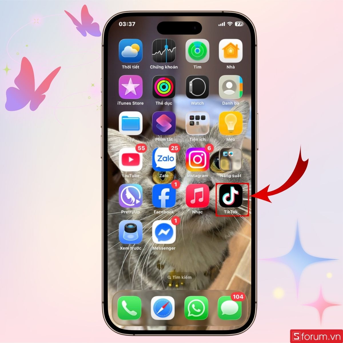 Mở ứng dụng TikTok trên giao diện chính