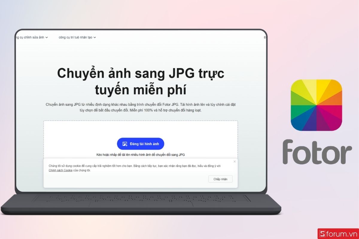 Fotor là một công cụ chỉnh sửa ảnh chuyên nghiệp