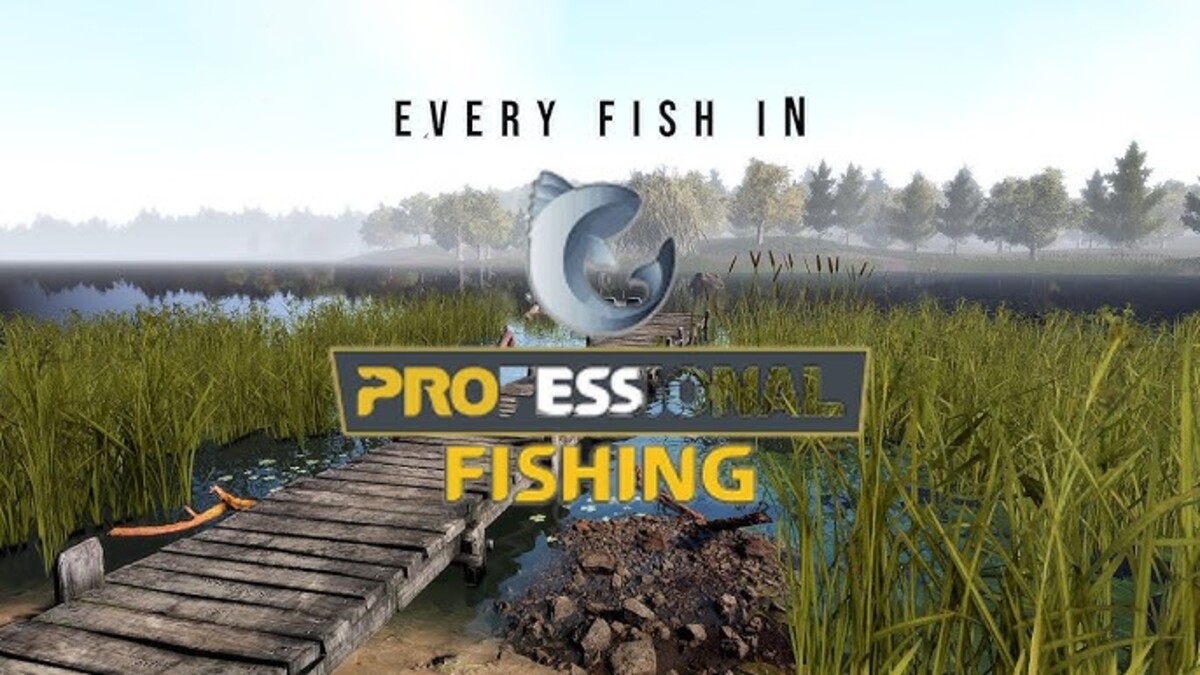 Professional Fishing có lối chơi đơn giản và dễ tiếp cận