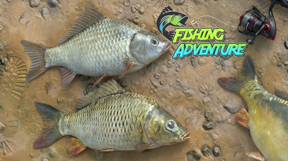 Fishing Adventure đưa người chơi đến với nhiều địa danh câu cá nổi tiếng