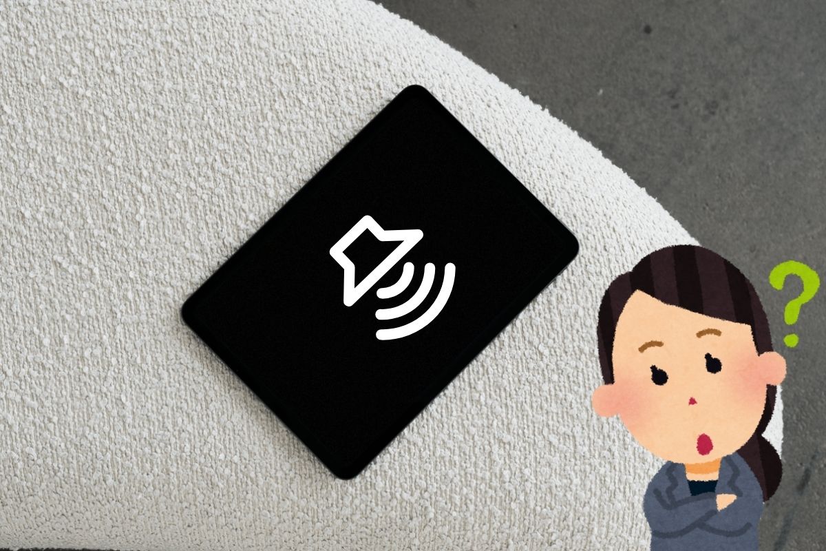 Hướng dẫn phòng tránh các lỗi đen màn hình trên iPad 