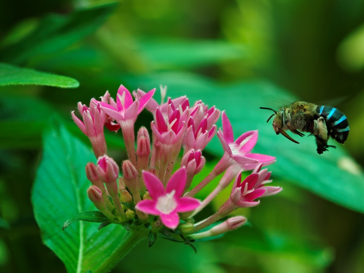 Đánh giá camera chính của OPPO Find X9 Pro