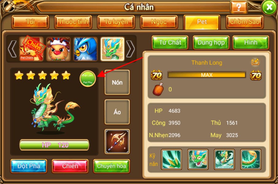 Các cập nhật về Pet
