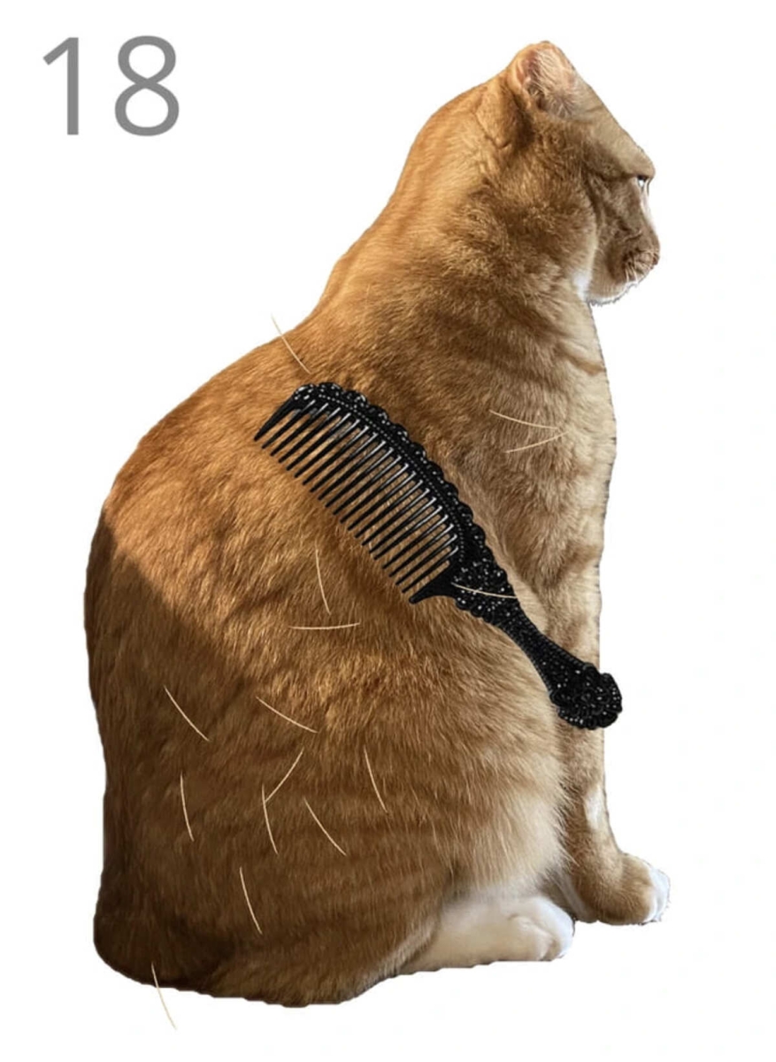 Brush Jjaemu có đồ họa đơn giản, tập trung vào chú mèo Jjaemu