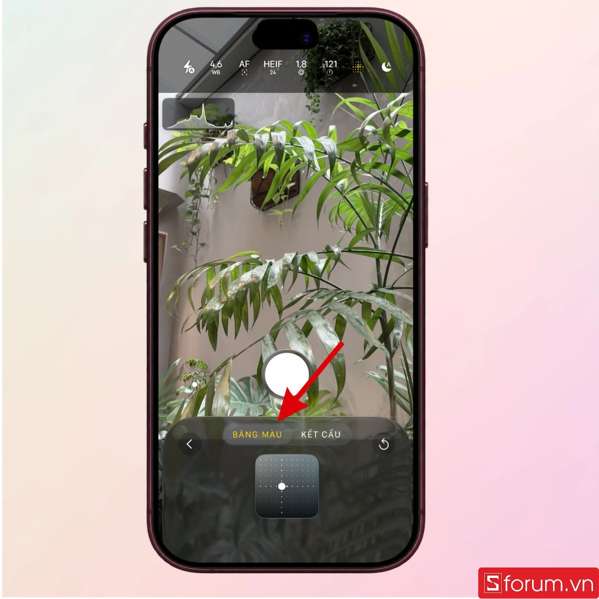 Tùy chỉnh bảng màu chụp ảnh phù hợp